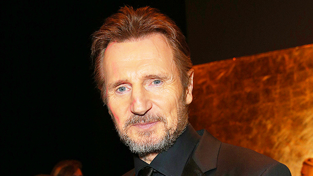 Liam Neeson Confesses He ‘Fell In Love’ With A ‘Taken’