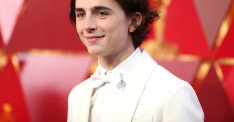 Timothée Chalamet Used To Be A YouTuber Who Loved Showcasing