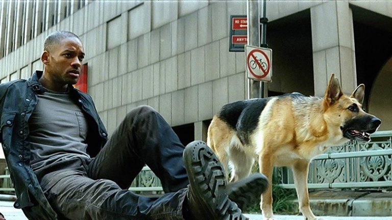 I Am Legend Sequel in the Works Starring Will Smith